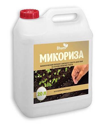 Mycorrhiza canister
